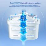 Tot ce trebuie sa stii despre canile pentru filtrarea apei - Sistem filtrare cartus BRITA