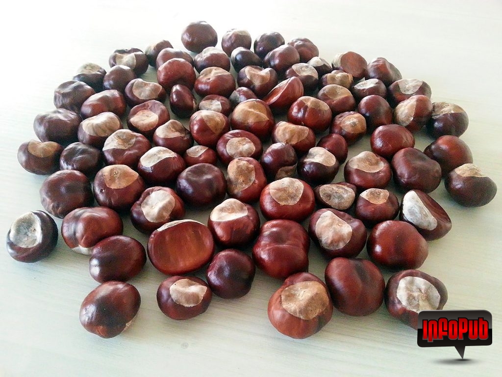 Detergent rufe din castane realizat manual Detergent rufe din castane realizat manual