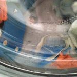 Detergent rufe din castane realizat manual produce spuma Detergent rufe din castane realizat manual produce spuma